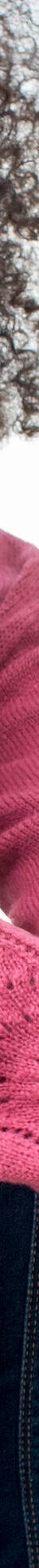 Pull col rond finitions écailles (bois de rose) Pull col rond finitions écailles (bois de rose)